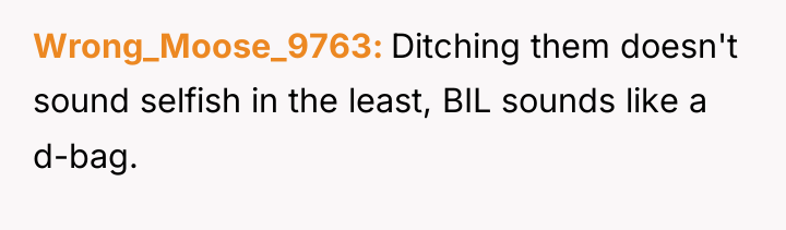 Wrong_Moose_9763 Ditching them doesn't sound selfish in the least, BIL...