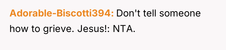 Adorable-Biscotti394 Don't tell someone how to grieve. Jesus!: NTA.