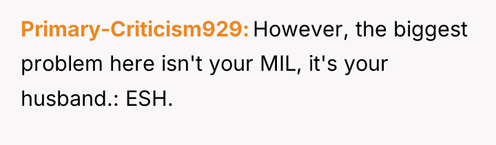 Primary-Criticism929 However, the biggest problem here isn't your MIL, it's...