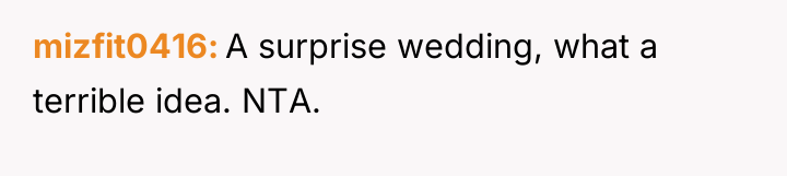 mizfit0416 A surprise wedding, what a terrible idea. NTA.