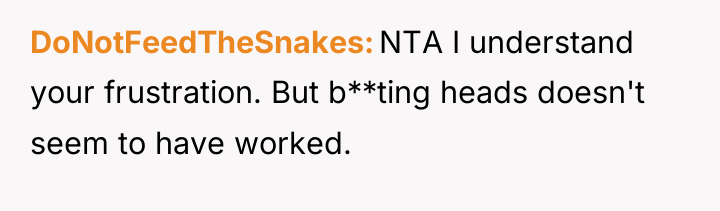 DoNotFeedTheSnakes NTA I understand your frustration. But b**ting heads doesn't...