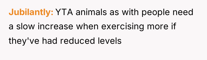 Jubilantly YTA animals as with people need a slow increase...