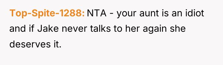 Top-Spite-1288 NTA - your aunt is an idiot and if...