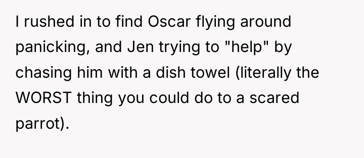 I rushed in to find Oscar flying around panicking, and...
