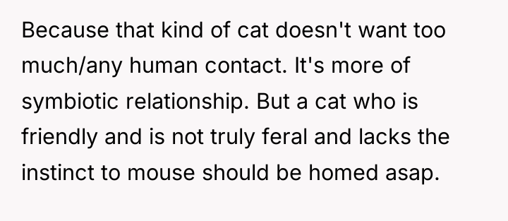 Because that kind of cat doesn't want too much/any human...