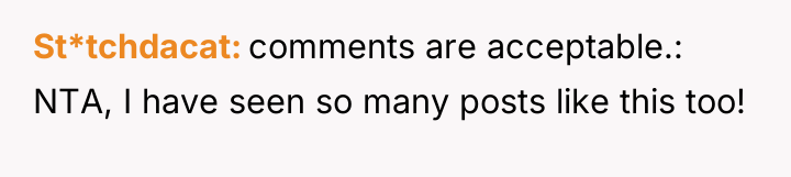 St*tchdacat comments are acceptable.: NTA, I have seen so many...
