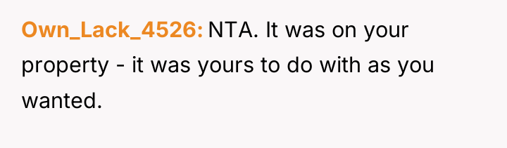 Own_Lack_4526 NTA. It was on your property - it was...