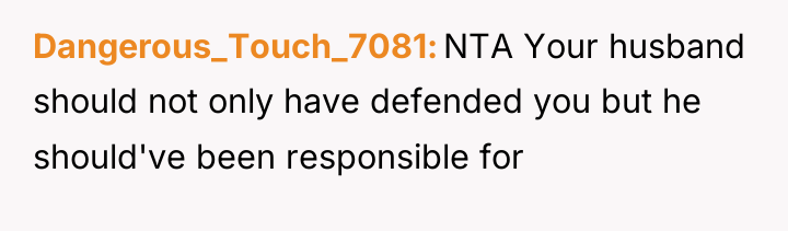 Dangerous_Touch_7081 NTA Your husband should not only have defended you...