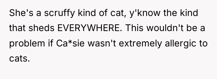 She's a scruffy kind of cat, y'know the kind that...