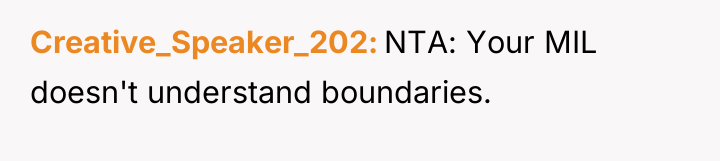 Creative_Speaker_202 NTA: Your MIL doesn't understand boundaries.