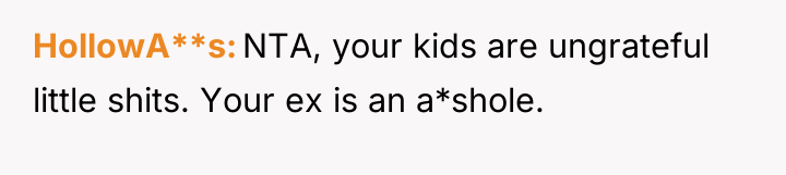 HollowA**s NTA, your kids are ungrateful little shits. Your ex...