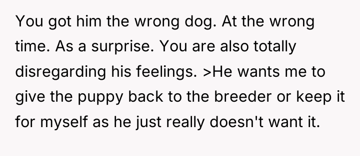 You got him the wrong dog. At the wrong time....