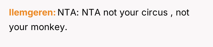Ilemgeren NTA: NTA not your circus , not your monkey.