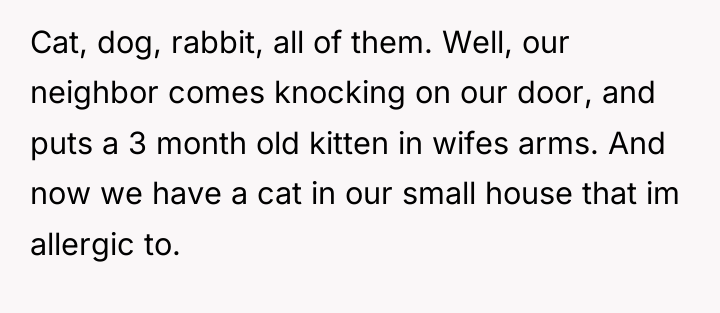 Cat, dog, rabbit, all of them. Well, our neighbor comes...
