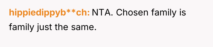 hippiedippyb**ch NTA. Chosen family is family just the same.