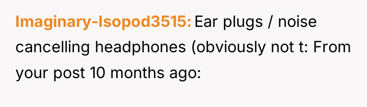 Imaginary-Isopod3515 Ear plugs / noise cancelling headphones (obviously not t:...