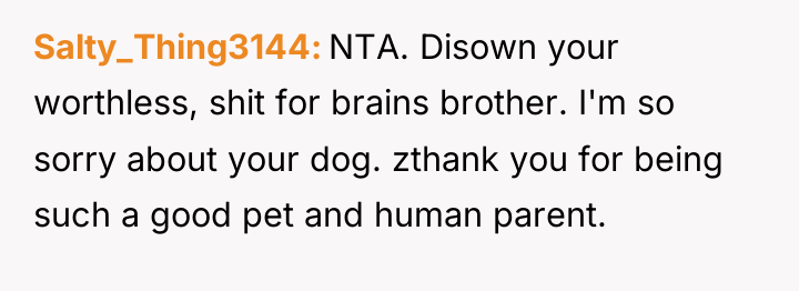 Salty_Thing3144 NTA. Disown your worthless, shit for brains brother. I'm...