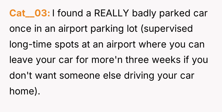 Cat__03 I found a REALLY badly parked car once in...