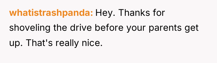 whatistrashpanda Hey. Thanks for shoveling the drive before your parents...