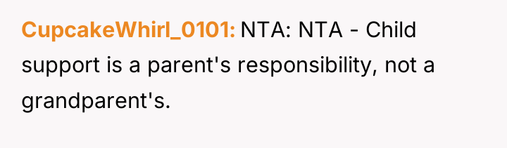 CupcakeWhirl_0101 NTA: NTA - Child support is a parent's responsibility,...