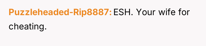 Puzzleheaded-Rip8887 ESH. Your wife for cheating.
