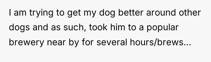 I am trying to get my dog better around other...