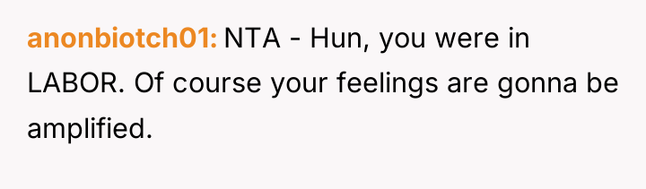 anonbiotch01 NTA - Hun, you were in LABOR. Of course...