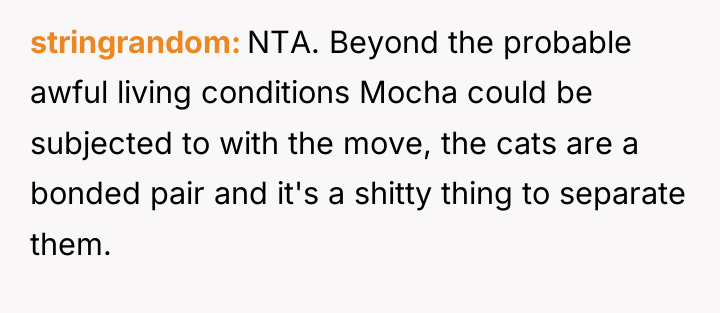 stringrandom NTA. Beyond the probable awful living conditions Mocha could...