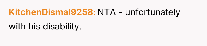 KitchenDismal9258 NTA - unfortunately with his disability,