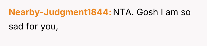 Nearby-Judgment1844 NTA. Gosh I am so sad for you,