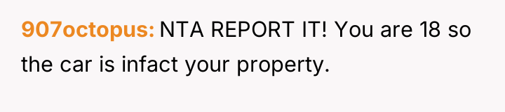 907octopus NTA REPORT IT! You are 18 so the car...