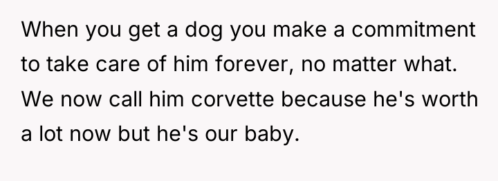 When you get a dog you make a commitment to...
