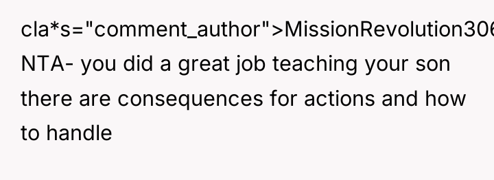 cla*s="comment_author">MissionRevolution306: NTA- you did a great job teaching your son...