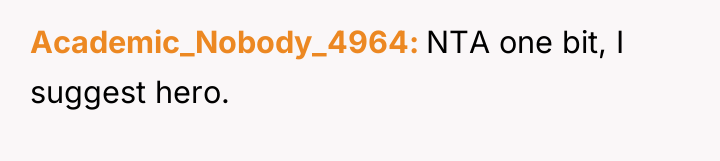 Academic_Nobody_4964 NTA one bit, I suggest hero.