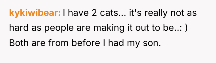 kykiwibear I have 2 cats... it's really not as hard...