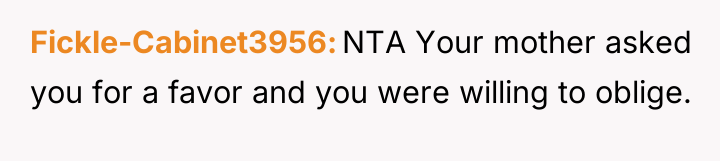 Fickle-Cabinet3956 NTA Your mother asked you for a favor and...