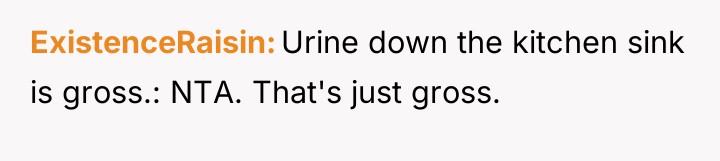 ExistenceRaisin Urine down the kitchen sink is gross.: NTA. That's...