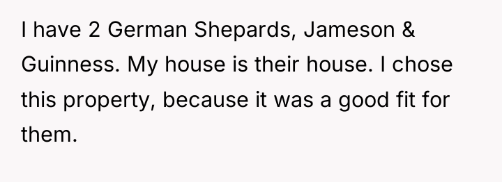I have 2 German Shepards, Jameson & Guinness. My house...