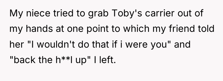 My niece tried to grab Toby's carrier out of my...