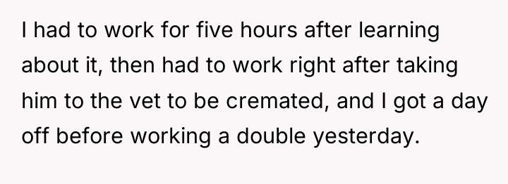 I had to work for five hours after learning about...