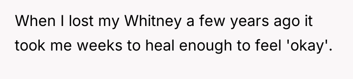 When I lost my Whitney a few years ago it...