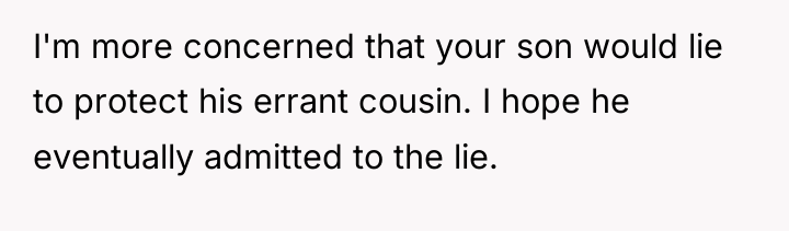 I'm more concerned that your son would lie to protect...