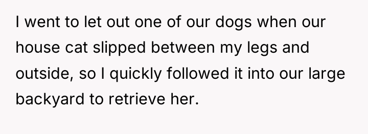 I went to let out one of our dogs when...