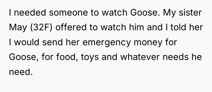 I needed someone to watch Goose. My sister May (32F)...