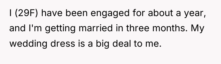 I (29F) have been engaged for about a year, and...