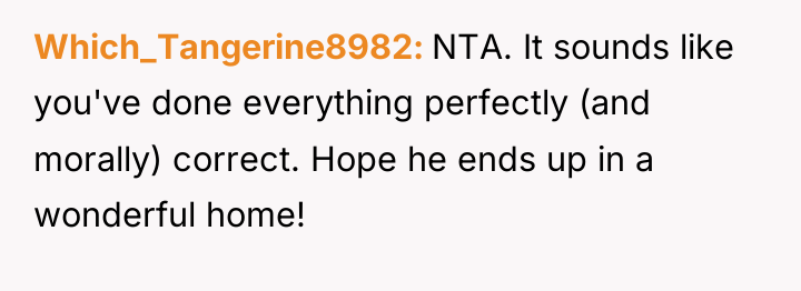 Which_Tangerine8982 NTA. It sounds like you've done everything perfectly (and...