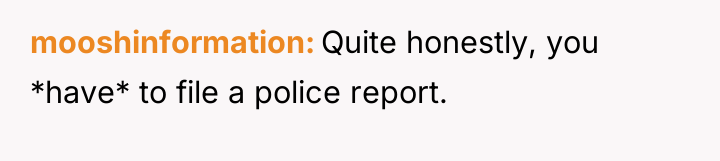 mooshinformation Quite honestly, you *have* to file a police report.