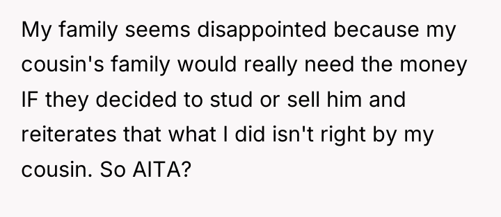 My family seems disappointed because my cousin's family would really...