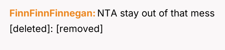 FinnFinnFinnegan NTA stay out of that mess [deleted]: [removed]