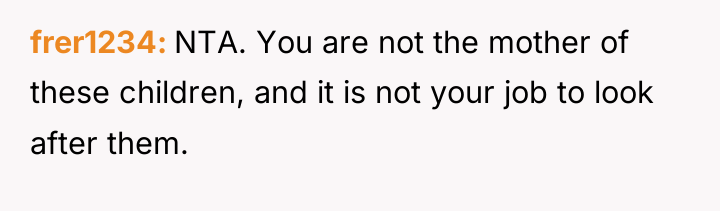 frer1234 NTA. You are not the mother of these children,...
